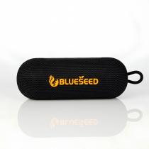 Колонка Bluetooth Blueseed BS-318 black
