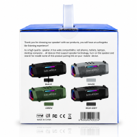 Колонка Bluetooth Blueseed BS-602 black