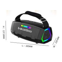 Колонка Bluetooth Blueseed BS-602 silver