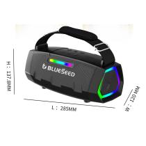Колонка Bluetooth Blueseed BS-602 silver