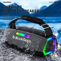 Колонка Bluetooth Blueseed BS-602 silver