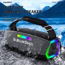 Колонка Bluetooth Blueseed BS-602 silver