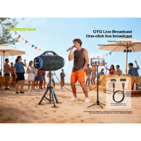 Колонка Bluetooth Hopestar A90 gray
